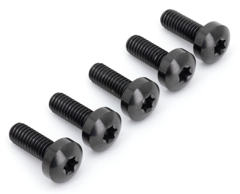 Brake Rotor FR Bolts Titanium Black (ES)