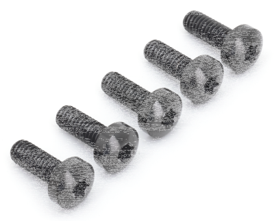 Brake Rotor FR Bolts Titanium Black (ES)