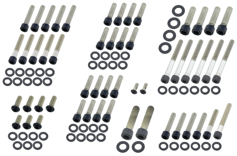 Eng. Bolt Kit Matt Blk FLH/T87-98 (ES)