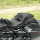 2-Up Style 2 Seat Black FLH/T09-20 (ES)