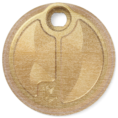 Next Level Fuel Door Gold FLH/T08-Up (ES)