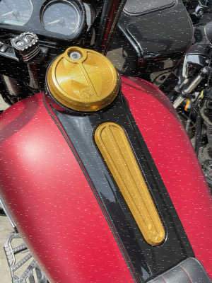 Next Level Fuel Door Gold FLH/T08-Up (ES)