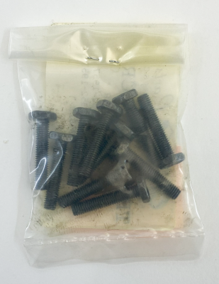 10pck Terminal screw (ES)