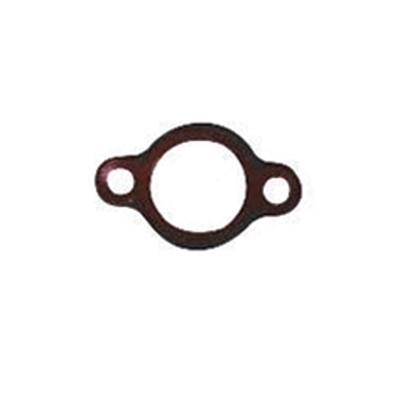 Cam chain cover gasket Victory99-17 (ES)