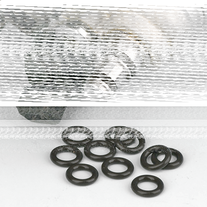 10pck Upper Injector O-Rings FLH/T95-01 (ES)
