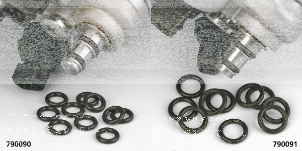 10pck Upper Injector O-Rings FLH/T95-01 (ES)