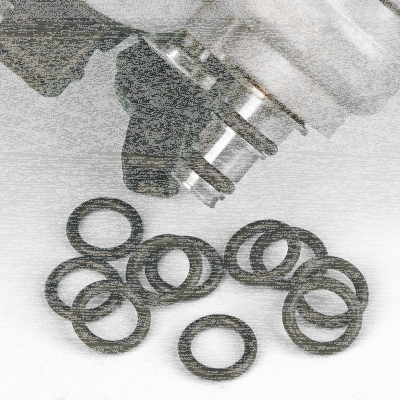 10pck Lower Injector O-Rings FLH/T95-01 (ES)