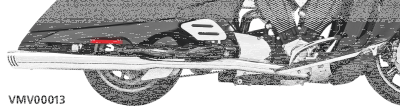 Ch/ch Racing True Duals Vision (ES)