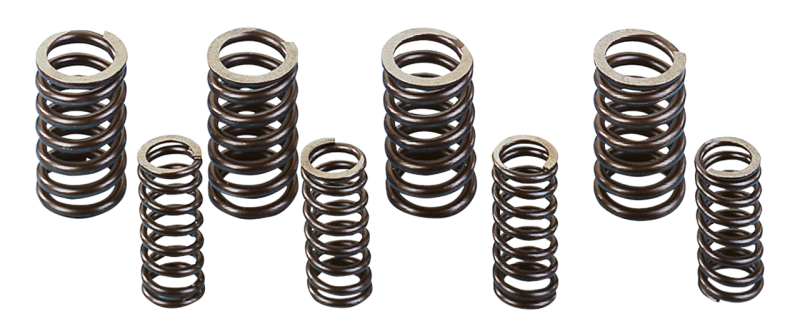 Valve Spring kit Knuckle/Pan FL36-65 (FR)