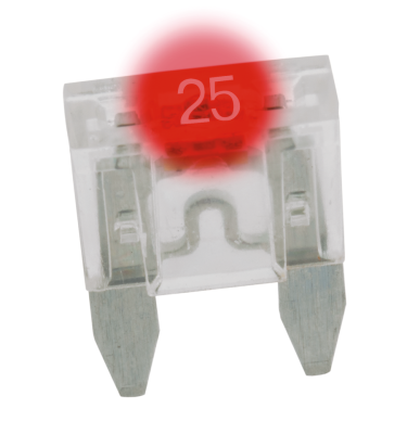 GZP 5pck Mini Led dtctr fuse Natural 25A