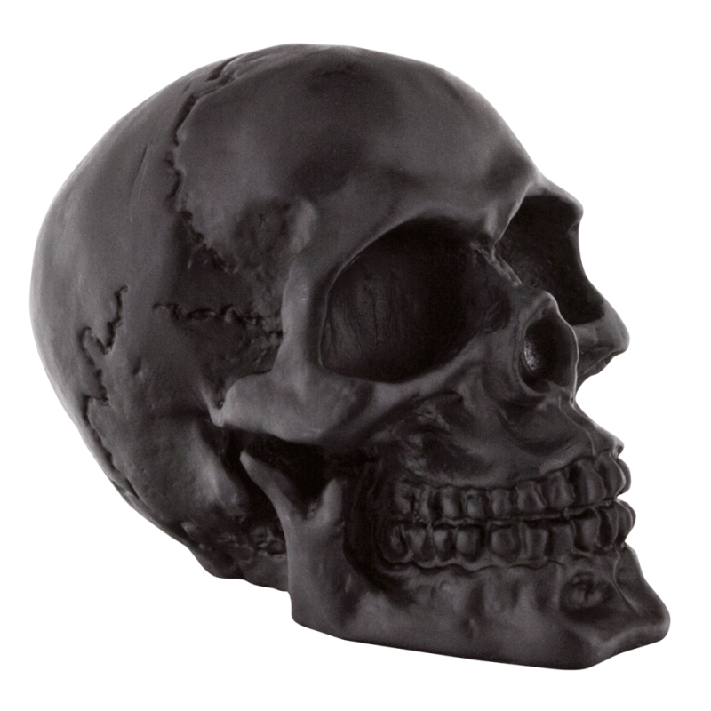 GZP Black fender mounted skull (GB)