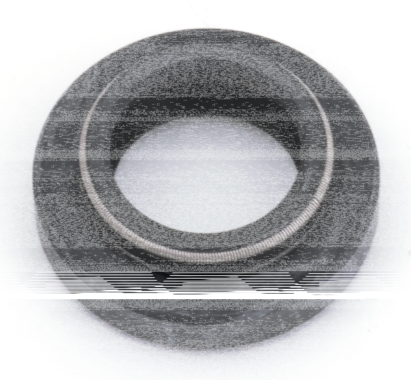 Oil seal starter motor shaft 89-93 each (GB)