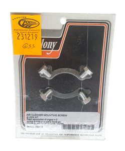 COLONY air cleaner screw & lock 56-65
