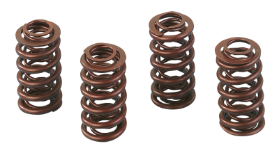 Andrews hi-lift valve springs BT84-04 XL (GB)