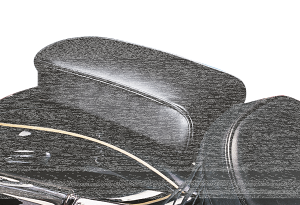 Pillion pad Sanora regal plush all model (GB)