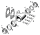 10pck Gasket, Intake Manifold 40-65, Lin (GB)