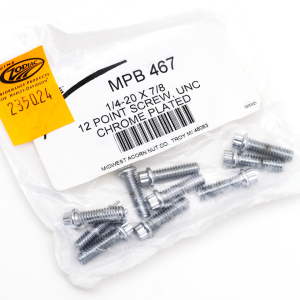 10pck 12-point bolts,1/4-20 x 7/8", UNC (GB)