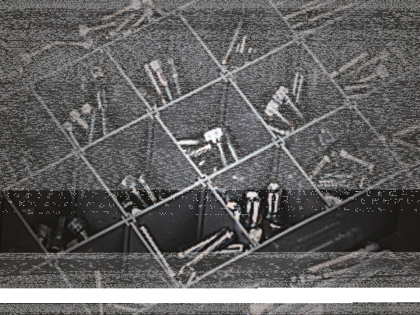 10pck 12-point bolts 1/4-20 x 1 3/4" (GB)