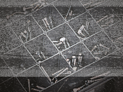 10pck 12-point bolts 1/4-20 x 1 3/4" (GB)