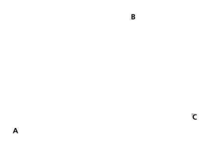 Aero 300 Midi gas cap N/V