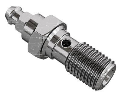 Banjo bolt w/bleeder nipple M10x1 Inox (GB)