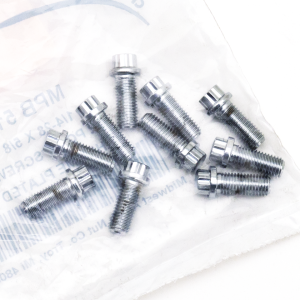 10pck 12-point screw 1/4-28x5/8", UNF (GB)