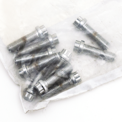 10pck 12-point screw 1/4-28x7/8", UNF (GB)