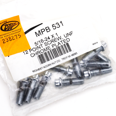 10pck 12-point screw 5/16-24x1", UNF (GB)