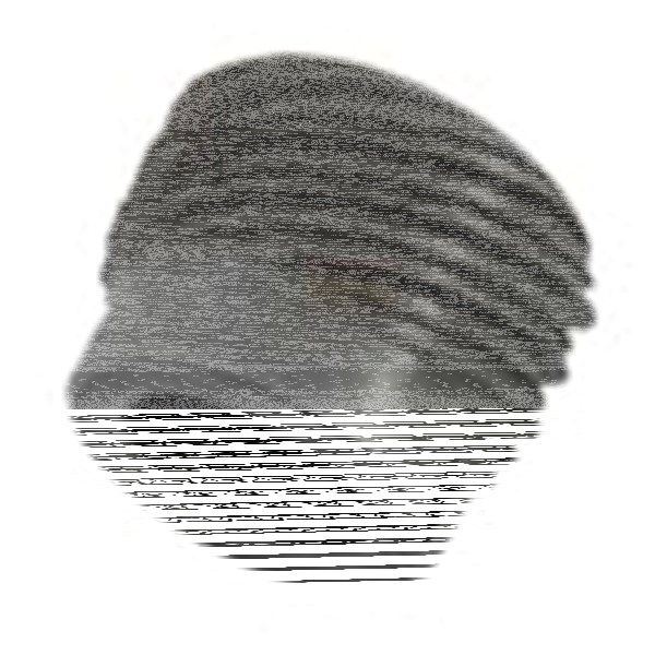 Oil pump drive gear BT90-92 (GB)