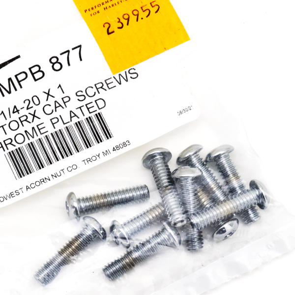 10pck Torx button head 1/4-20x1", UNC (GB)