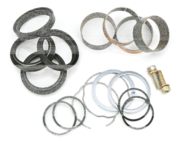 GZP 49mm fork rebuild kit FXD06-17 (GB)