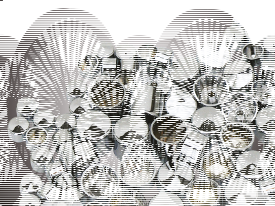 GZP Chrome Bolt cover kit XL04-up 77p (GB)