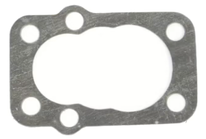 10pck scavenger pump gasket Flathead (GB)