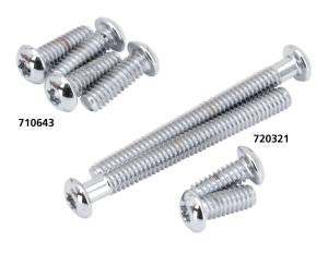 Button Torx Insp. cvr screw kit FLT99-06 (GB)
