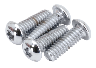 Button Torx Insp. cvr screw kit FLT99-06 (GB)