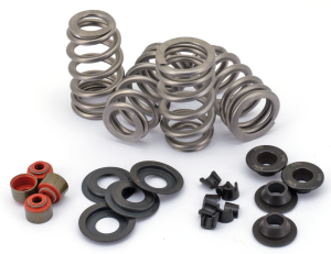 Beehive valve spring kit TC05-17 .660" l