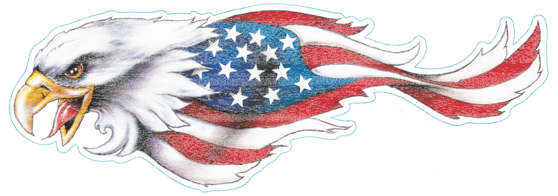 USA eagle left decal 2.75"x8" (GB)
