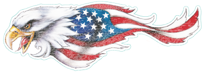 USA eagle left decal 2.75"x8" (GB)