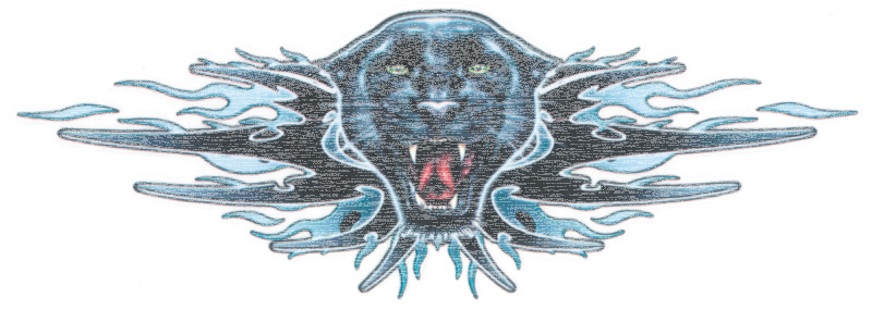Panther Attack decal 2 5/8"x7.5" (GB)