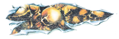 Shred Skull Long 2.761X8.094 (GB)