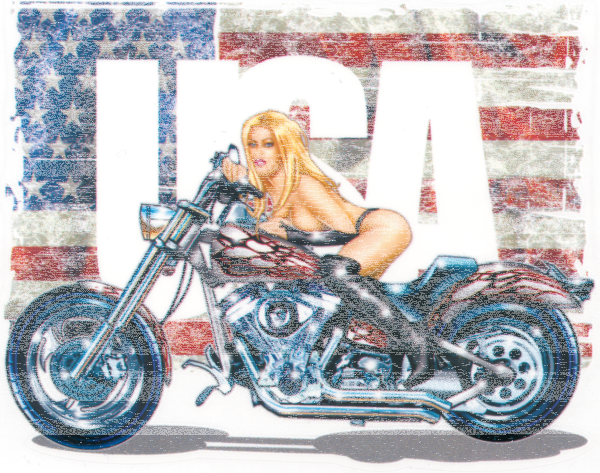 Miss Ride USA  5.46X4.23 decal (GB)