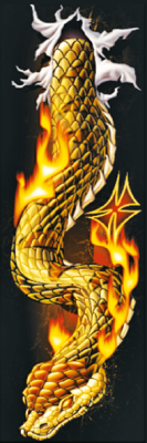 RIP N TEAR SNAKE DECAL 6"X18" (GB)