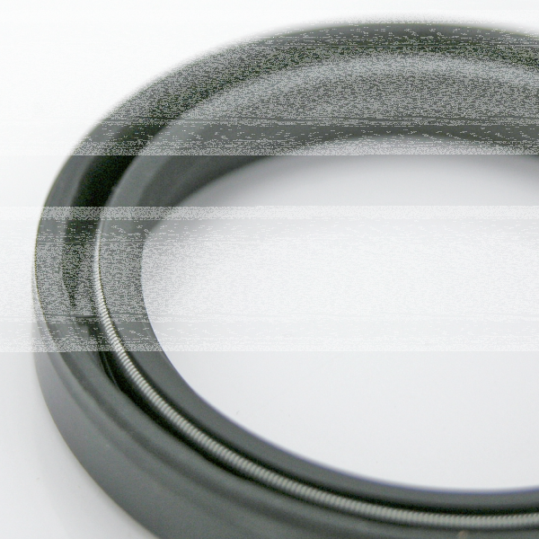 Fork Oil Seals, pair (GB)