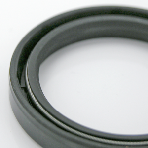Fork Oil Seals, pair