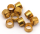 10pck Goodridge Oil line olives (GB)