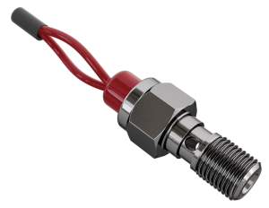 Brakelight bolt M10x1.25 Stainless steel