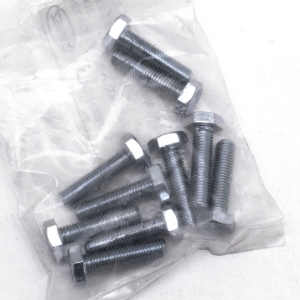 GZP 10pck hex bolt 1/4-28x1" zinc (GB)