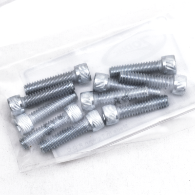 GZP 10pck allen bolt 1/4-20x1" zinc (GB)