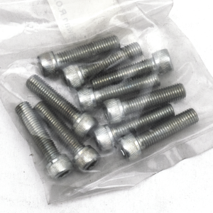 GZP 10pck allen bolt 1/4-28x1" zinc (GB)