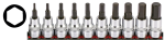 3/8" Socketbitset hex metric 10PC on rai